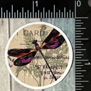 🌀10/$10🌀 Vintage Insect Reusable Sticker Decal